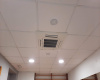 Puerto, ,2 BathroomsBathrooms,Local,En Venta,1152